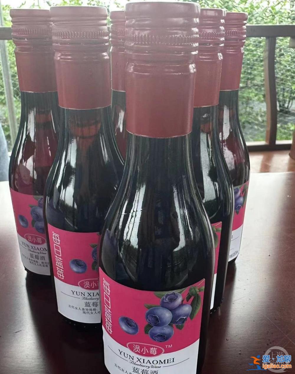 一顆小藍莓帶來十億農旅融合產值？