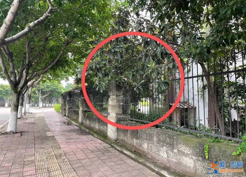 這事原本就不該發生? 這事原本就不該發生?