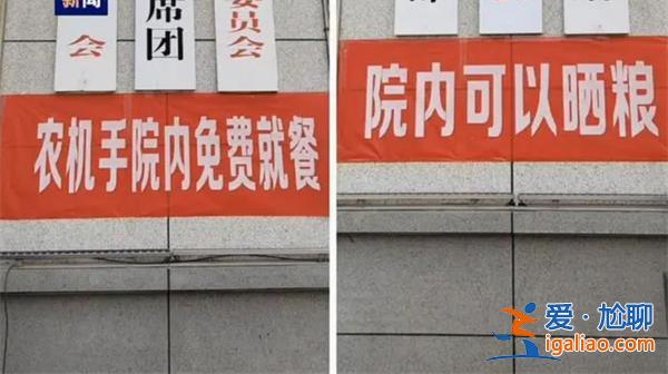 麥收九成 這些地方變成曬糧場? 麥收九成 這些地方變成曬糧場?