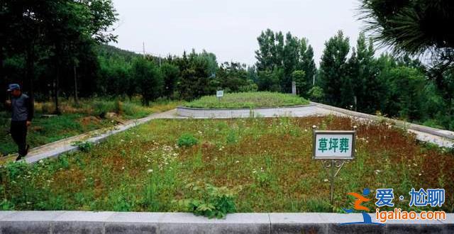免費提供墓地和骨灰盒 這個縣6年的殯葬改革怎么樣了？