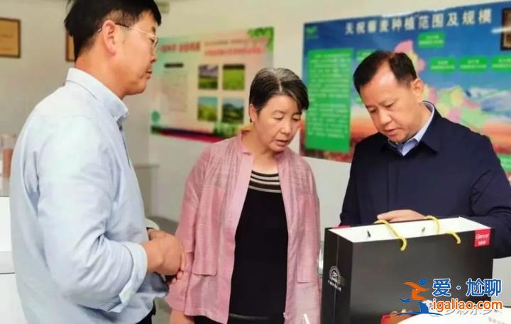 超九成被提拔重用 兩人晉升副部？