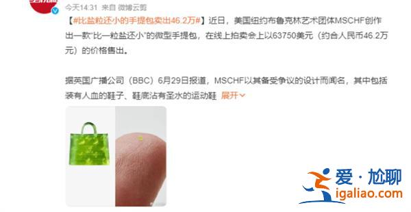 比鹽粒還小的手提包賣出46.2萬，手提包是什么牌子[46.2萬]？