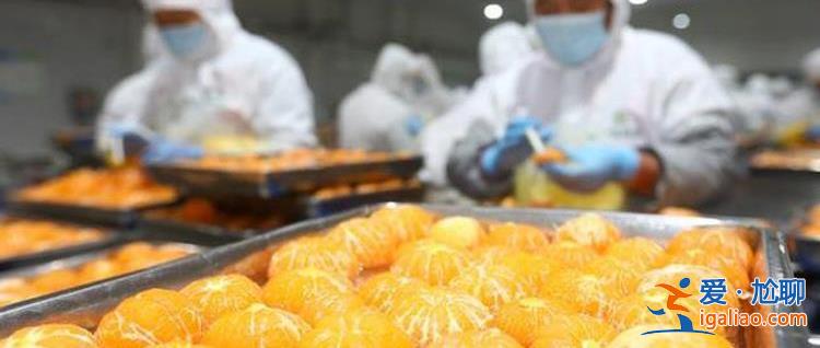 訂單暴漲279% 美日歐瘋搶中國商品 3大黃金機遇不愁訂單？