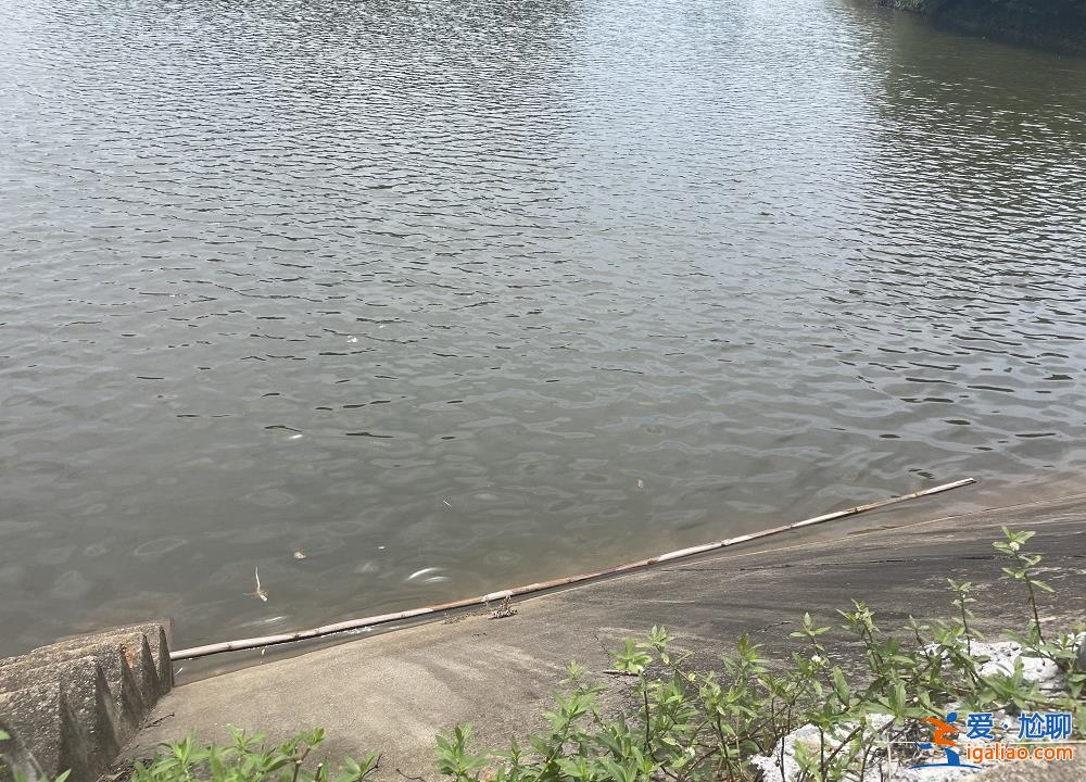 水中托舉孩子直到他獲救？