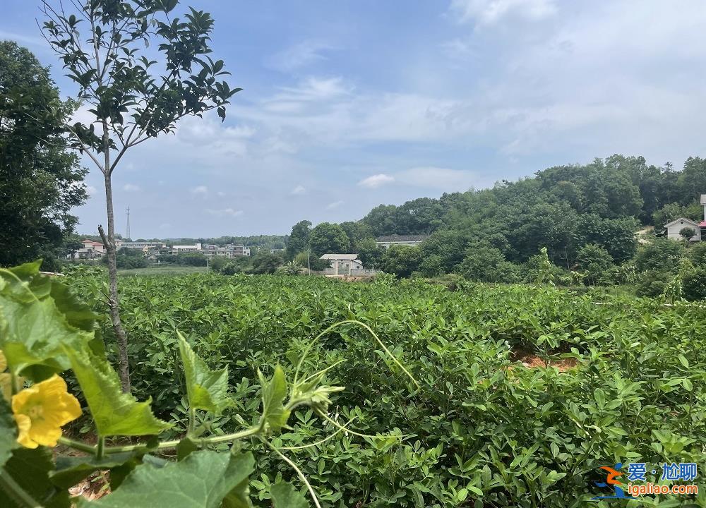 水中托舉孩子直到他獲救？