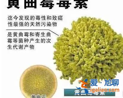 毒性是砒霜68倍 100℃高溫難殺死！“超級致癌物”黃曲霉毒素怎么防？？