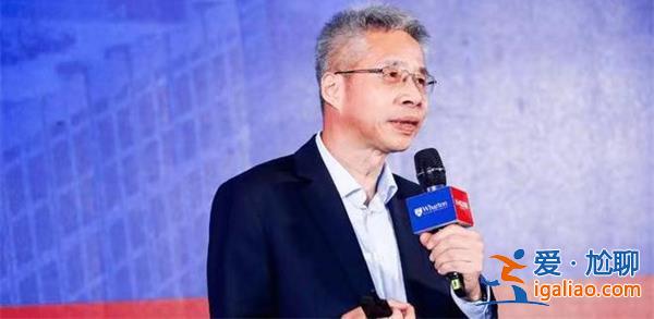 李迅雷稱當前中國與1990年日本資產負債衰退情況有所不同[李迅雷]？