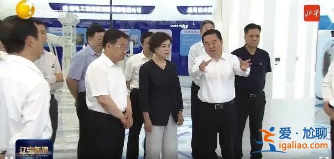 副國(guó)級(jí)率隊(duì)赴地方執(zhí)法檢查 4位組長(zhǎng)亮相？