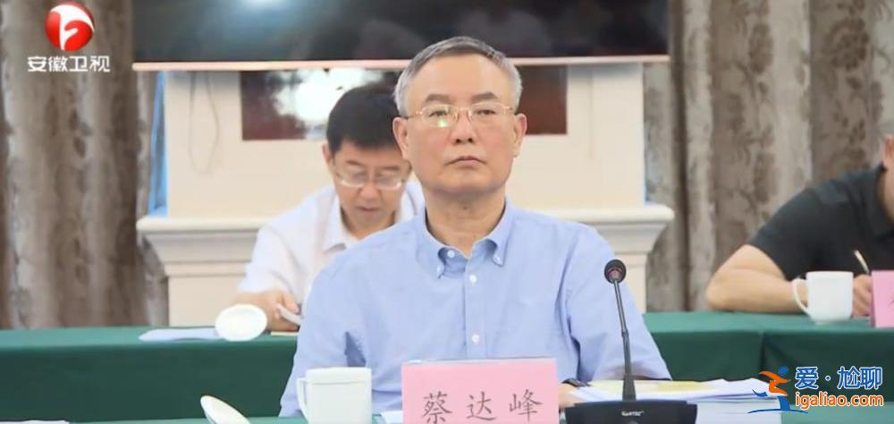 副國(guó)級(jí)率隊(duì)赴地方執(zhí)法檢查 4位組長(zhǎng)亮相？