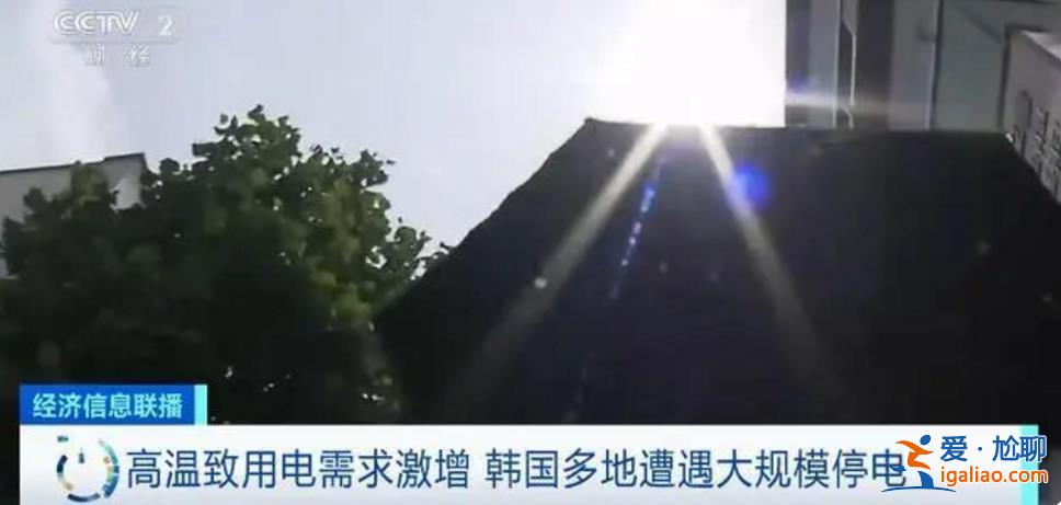全球多地遭遇極端高溫天氣 多國發布警報？
