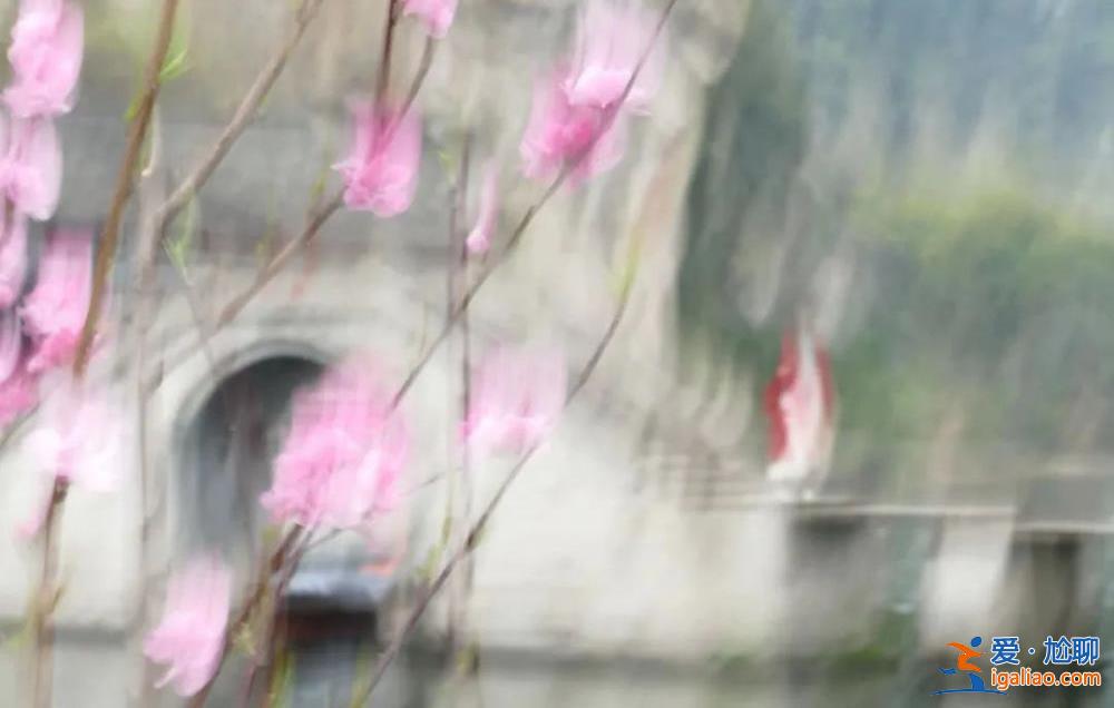 公示期沒收到投訴？