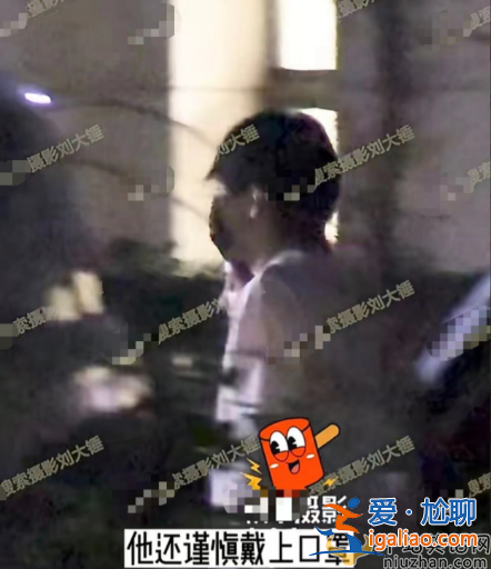 曝王鷗男友何九華出軌！王鷗何九華結婚了嗎?