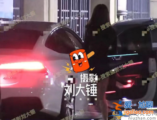 曝王鷗男友何九華出軌！王鷗何九華結婚了嗎?