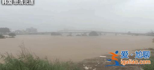 韓國持續暴雨引發山體滑坡 已致20人死亡 10余人失蹤？