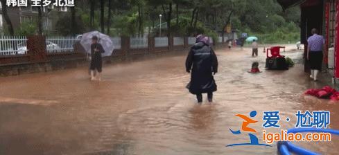 韓國持續暴雨引發山體滑坡 已致20人死亡 10余人失蹤？