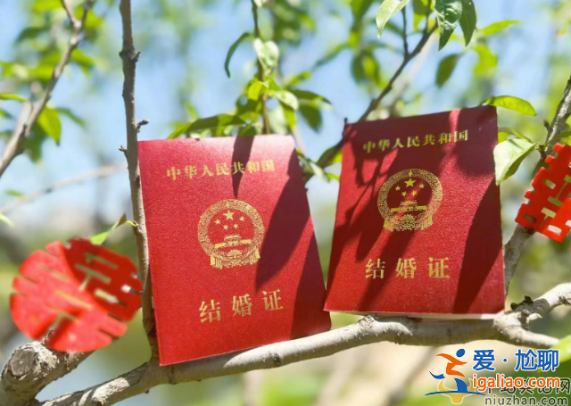 孫楊張豆豆官宣結婚!曬登記照滿臉幸福，獲得網友們一片祝福