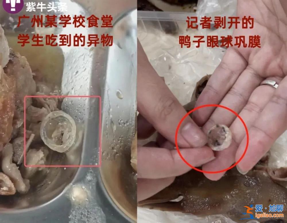 食堂飯菜異物是鴨子眼球鞏膜？現(xiàn)場(chǎng)實(shí)測(cè)鴨眼球鞏膜比鴨眼外表大數(shù)倍？