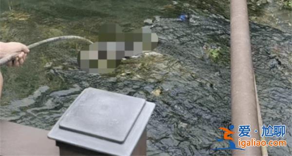 江西警方|萬年縣濱溪河河道發現無名男尸正調查走訪[濱溪河]？