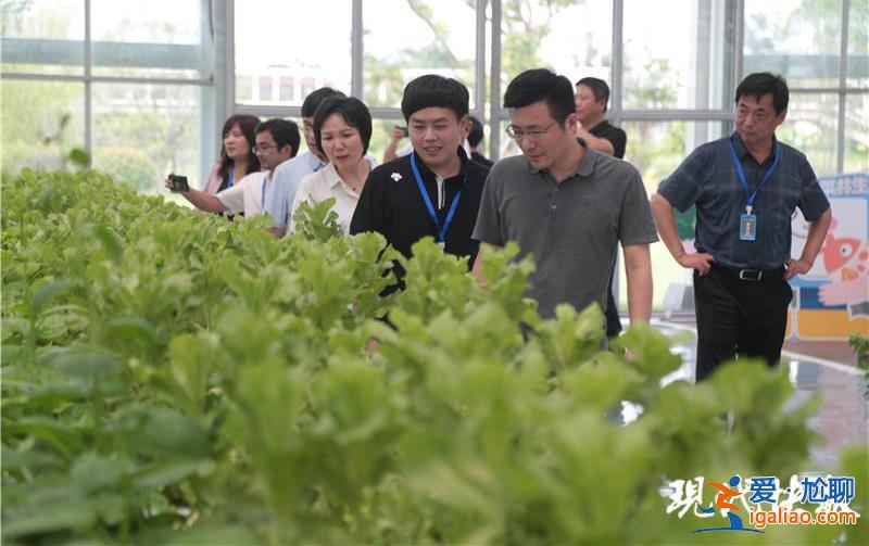 走讀無錫 探尋發展故事背后的“蝶變密碼”？
