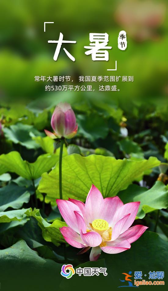 全年最熱節(jié)氣來(lái)了 全國(guó)近三分之一區(qū)域高溫最大值出現(xiàn)在大暑？