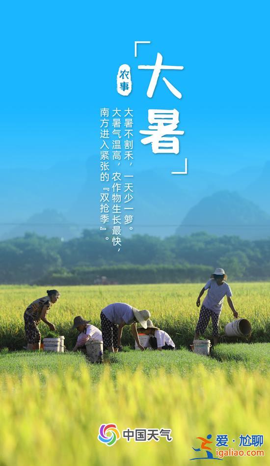全年最熱節(jié)氣來(lái)了 全國(guó)近三分之一區(qū)域高溫最大值出現(xiàn)在大暑？