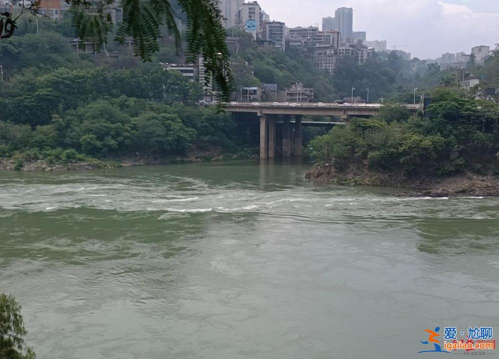 事前告訴妻子去救人 曾救過多人? 事前告訴妻子去救人 曾救過多人?