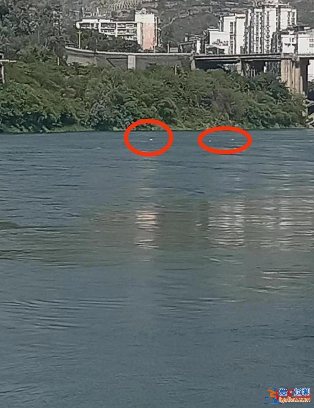 事前告訴妻子去救人 曾救過多人? 事前告訴妻子去救人 曾救過多人?