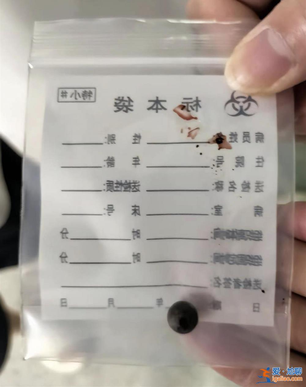 8歲女童被兩少年用彈弓射傷致左眼失明 肇事者未達刑責年齡不予立案？