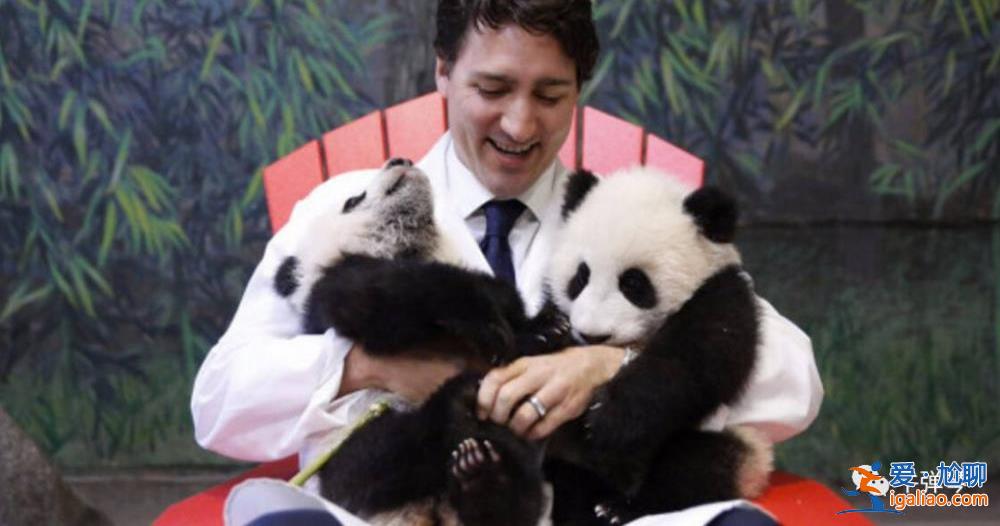 一覺醒來 特魯多上了全世界的頭條? 一覺醒來 特魯多上了全世界的頭條?