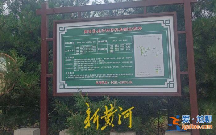 女商人實名舉報親屬盜礦毀林 被舉報人曾涉瞞報死亡事故 警方回應？