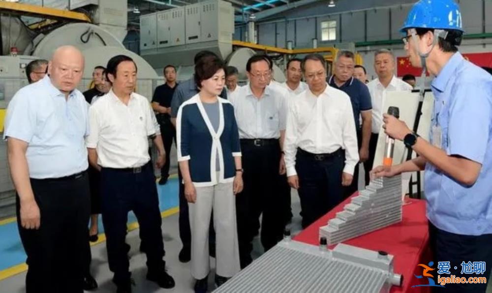 中國作協主席、作家鐵凝有了外事新頭銜？