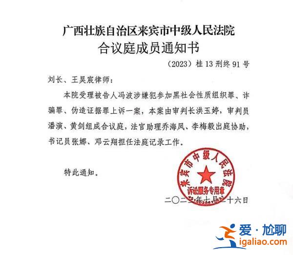 辯護人尚在安檢庭審已結(jié)束？“馮波案”律師被禁帶電腦入庭引風波？