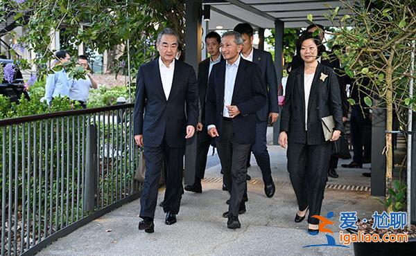 王毅會見新加坡外長維文? 王毅會見新加坡外長維文?