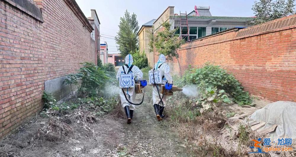 河北涿州清淤與消殺 在烈日下重建秩序？