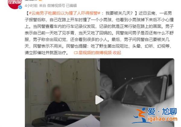 男子吃菌產生駕車撞人幻覺后自首 為何吃菌子會有幻覺？