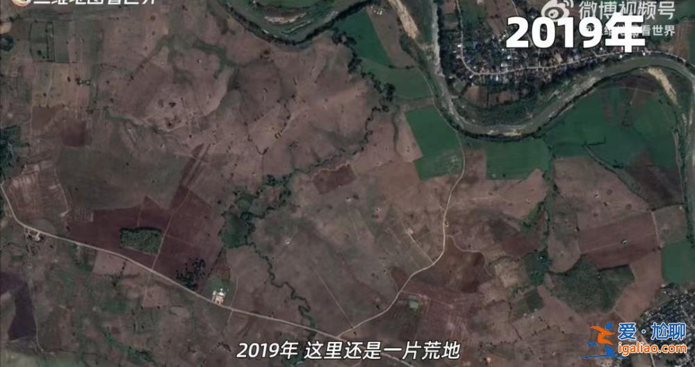 有人一天“業績”近150萬 背后大佬是華人？