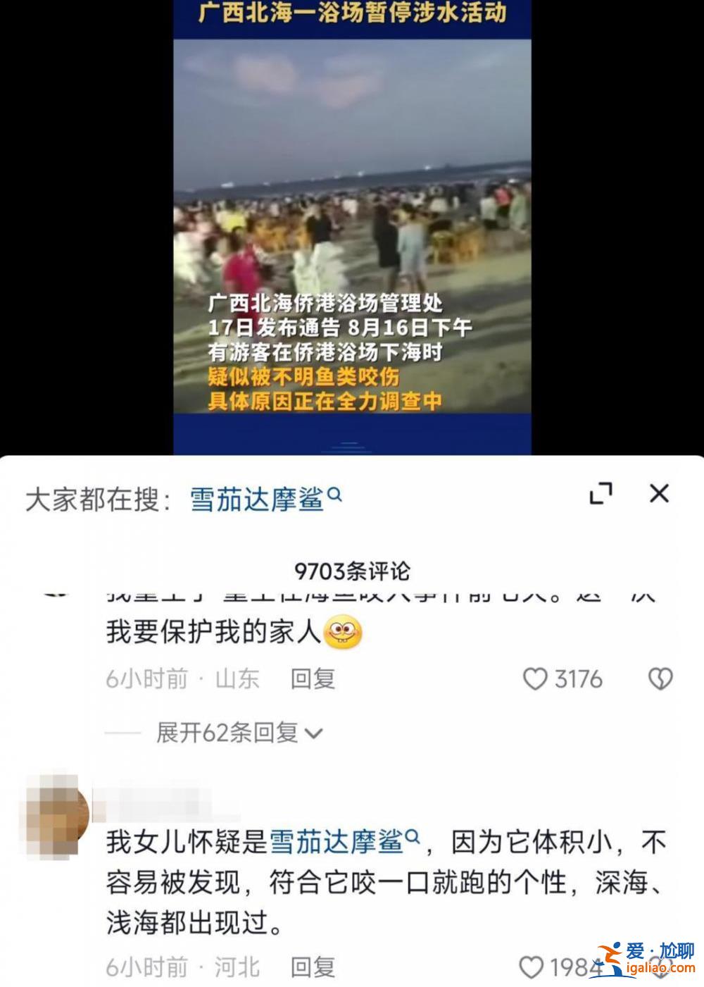 基本排除油錐、雪茄達摩鯊 海狼魚可能性較大？