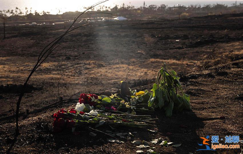 夏威夷“最致命”野火已致114人死亡 廢墟中出現(xiàn)了很多“X”字樣? 夏威夷“最致命”野火已致114人死亡 廢墟中出現(xiàn)了很多“X”字樣?