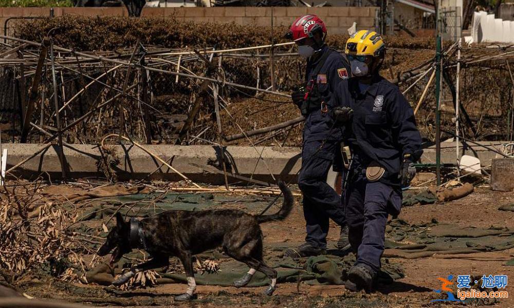 夏威夷“最致命”野火已致114人死亡 廢墟中出現(xiàn)了很多“X”字樣? 夏威夷“最致命”野火已致114人死亡 廢墟中出現(xiàn)了很多“X”字樣?