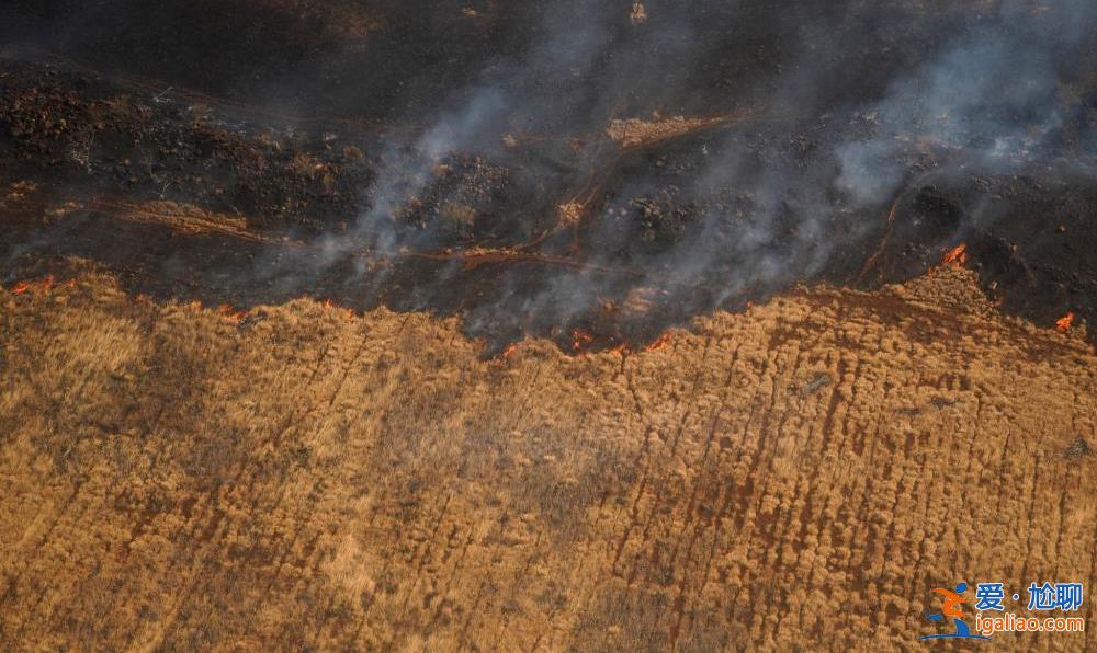 夏威夷“最致命”野火已致114人死亡 廢墟中出現(xiàn)了很多“X”字樣? 夏威夷“最致命”野火已致114人死亡 廢墟中出現(xiàn)了很多“X”字樣?