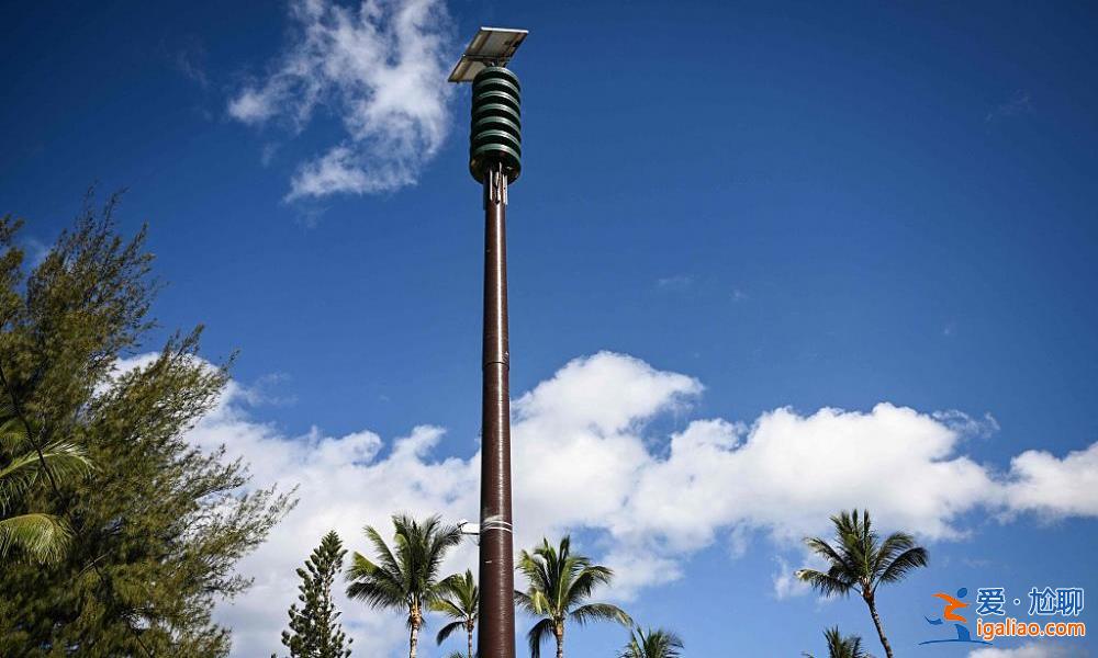 夏威夷“最致命”野火已致114人死亡 廢墟中出現(xiàn)了很多“X”字樣? 夏威夷“最致命”野火已致114人死亡 廢墟中出現(xiàn)了很多“X”字樣?