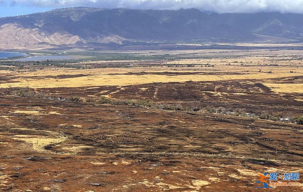 夏威夷“最致命”野火已致114人死亡 廢墟中出現(xiàn)了很多“X”字樣? 夏威夷“最致命”野火已致114人死亡 廢墟中出現(xiàn)了很多“X”字樣?