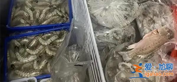 媽媽欲買海鮮囤滿冰柜[冰柜囤貨]？