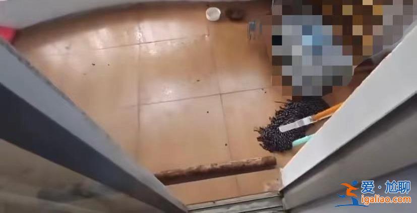 長沙醫學院疑有學生被墜物砸傷住進ICU？校方否認？