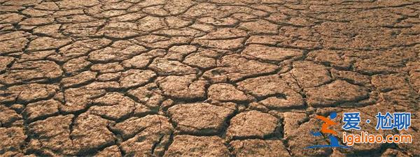 旱情持續(xù)，甘肅損失超21億，旱情注意這幾點(diǎn)[甘肅損失超21億]？