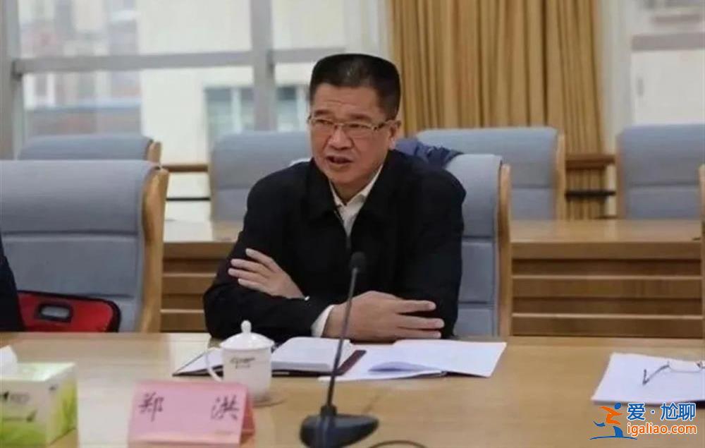 三“虎”被處理！首次披露 “消失”兩年后被拿下的他涉違規(guī)建樓堂館所？