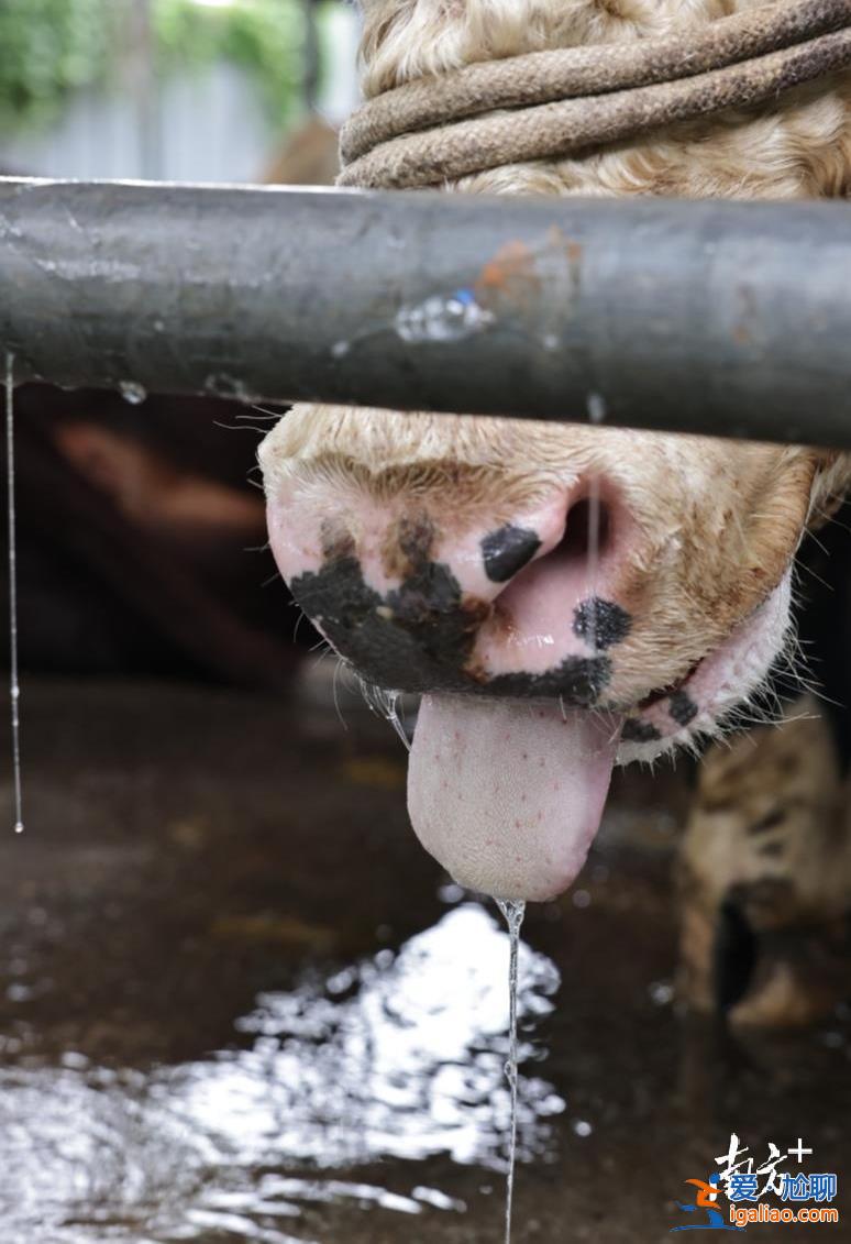 供應商等5人被控制？