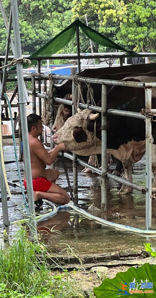 供應商等5人被控制？