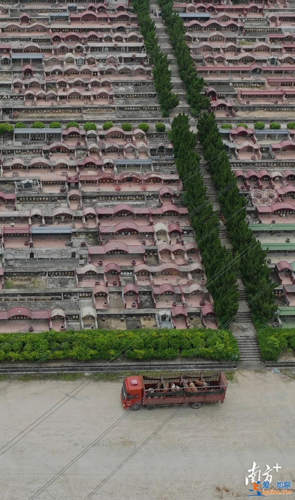 供應商等5人被控制？