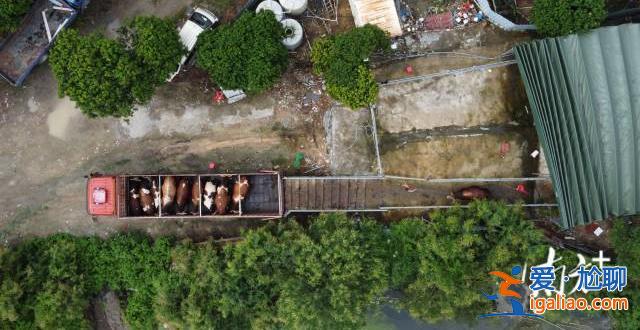 供應商等5人被控制？